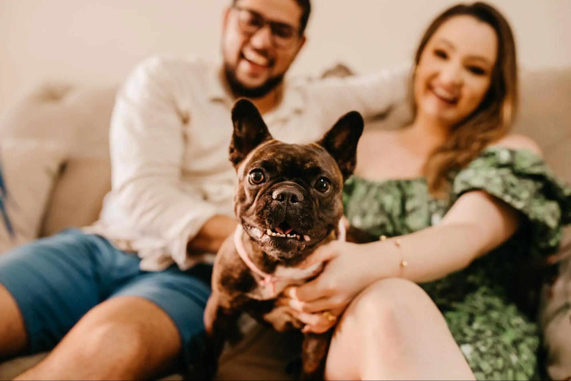 How to Include Your Pets in Your Wedding Image